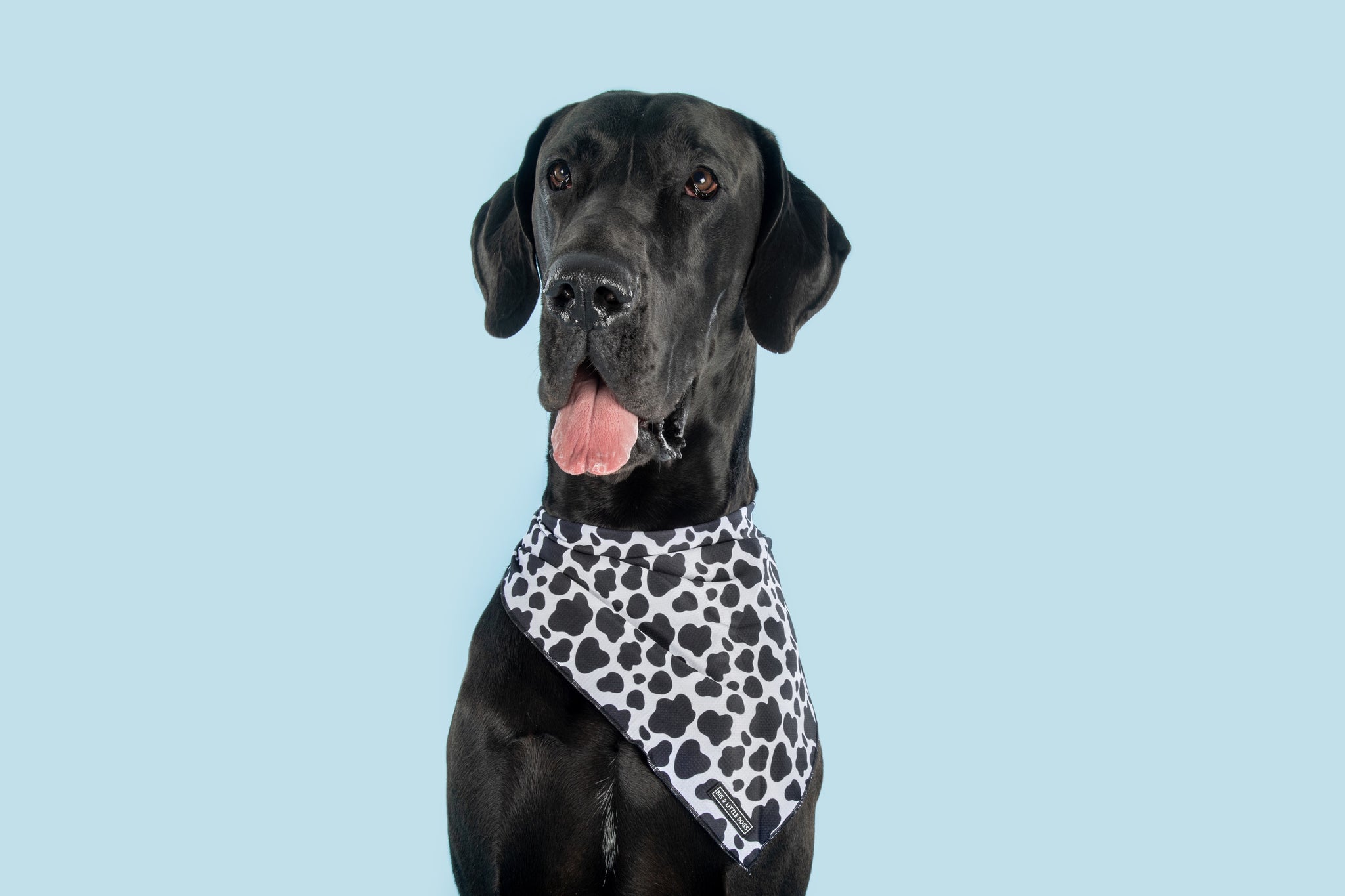 DOG BANDANA: I Udderly Adore You {FINAL SALE}