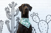 Dog Cooling Bandana Lost in Paradise Palms