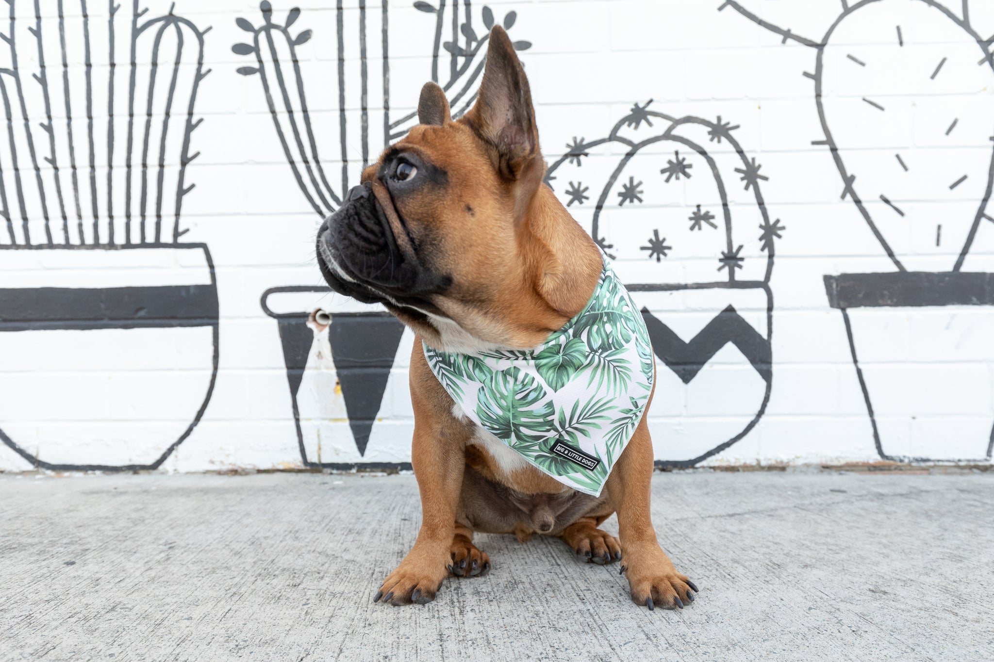 Dog Cooling Bandana Lost in Paradise Palms