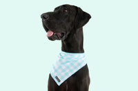 Dog Cooling Bandana Mint Teal Blue Green Gingham