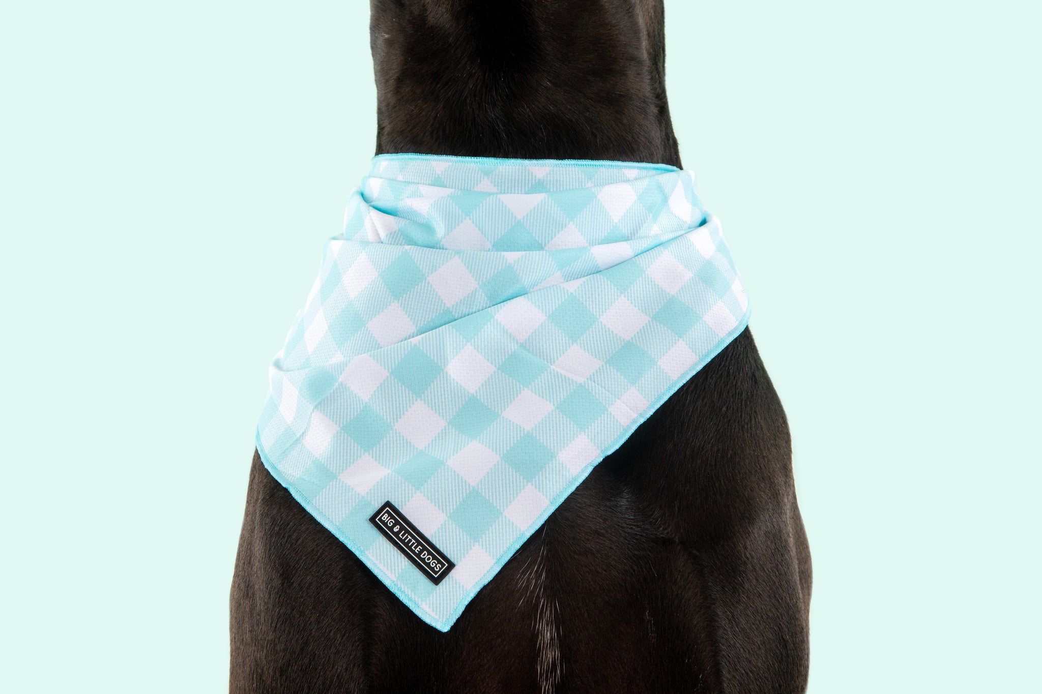 Dog Cooling Bandana Mint Teal Blue Green Gingham