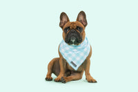 Dog Cooling Bandana Mint Teal Blue Green Gingham