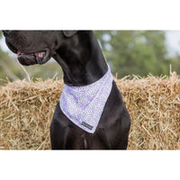 Dog Cooling Bandana Painted Purple