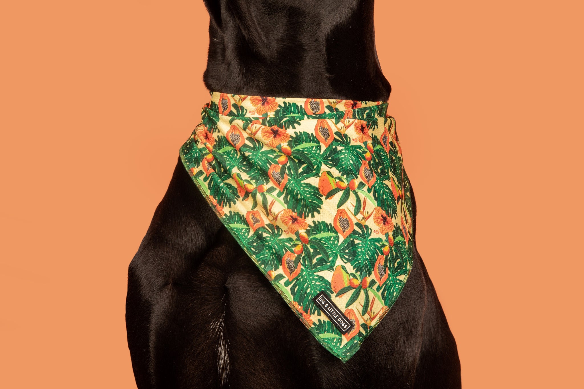 Dog Cooling Bandana Paw Paw Pawesome