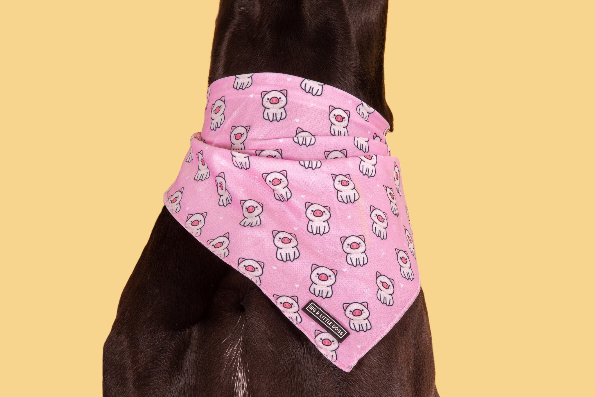 DOG BANDANA: Piggin' Out {FINAL SALE}