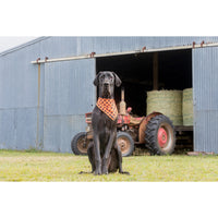 Dog Cooling Bandana Plaid-tastic Orange Plaid