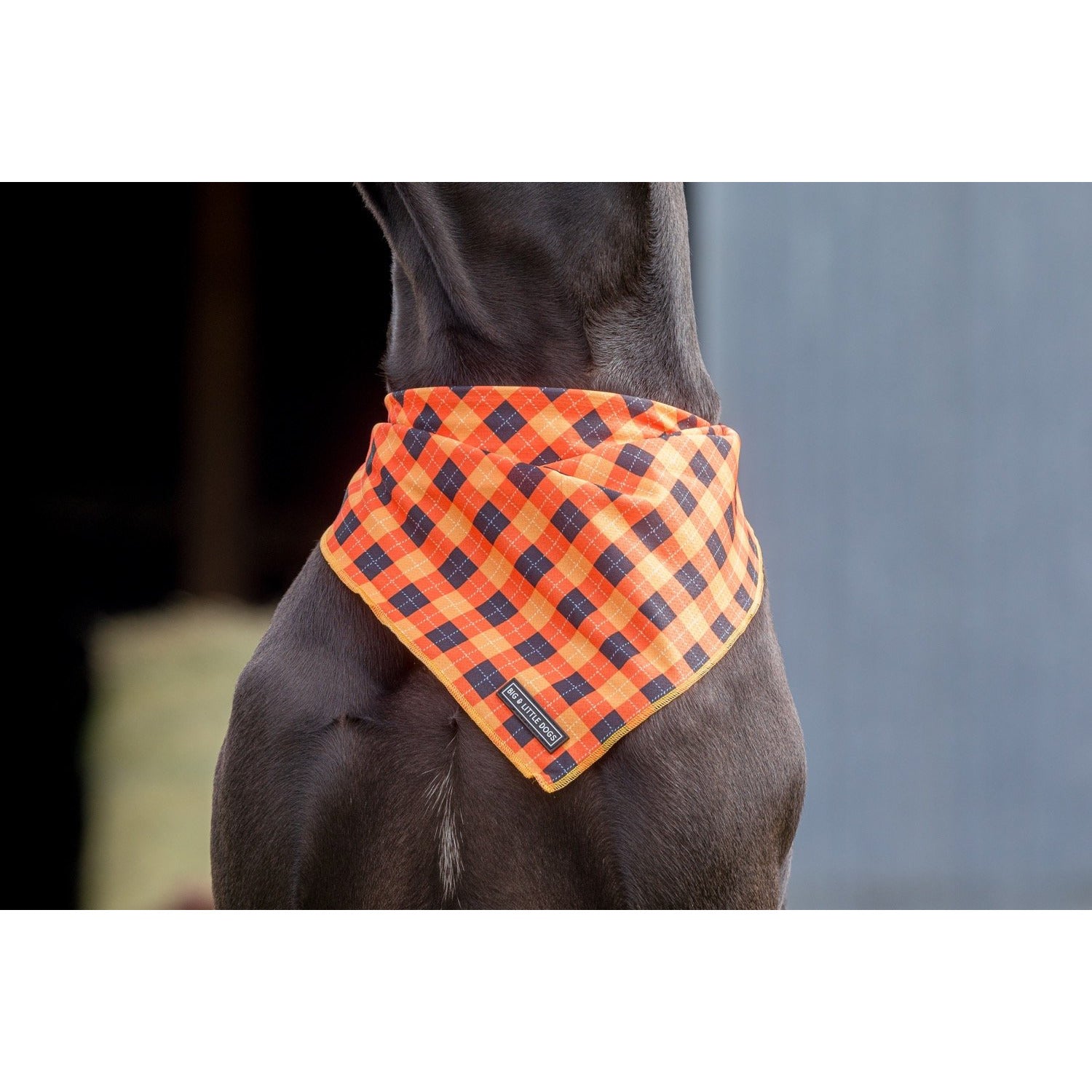 Dog Cooling Bandana Plaid-tastic Orange Plaid