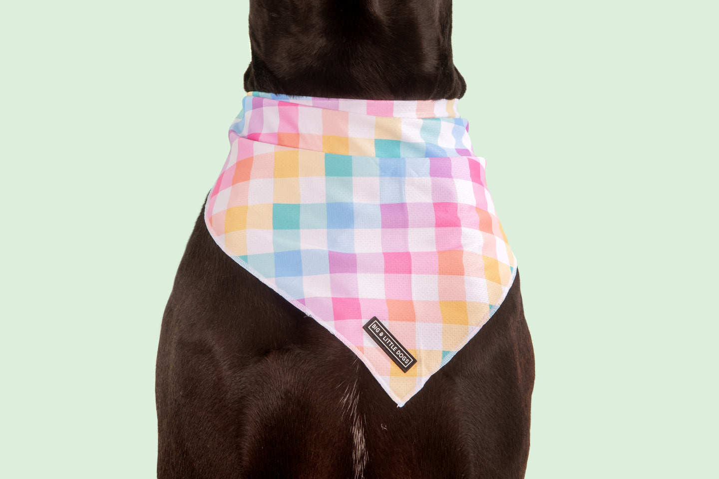 Dog Cooling Bandana Rainbow Gingham