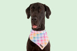 Dog Cooling Bandana Rainbow Gingham