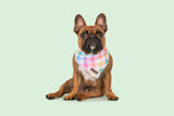 Dog Cooling Bandana Rainbow Gingham