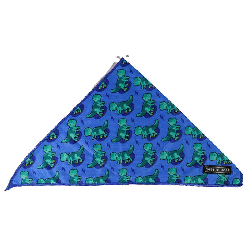 DOG BANDANA: Rawr (SOLD OUT)