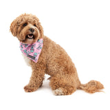 DOG BANDANA: Skull & Bones (Pink Version) {FINAL SALE}