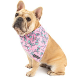 DOG BANDANA: Skull & Bones (Pink Version) {FINAL SALE}