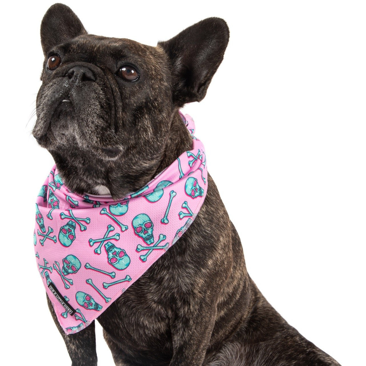 DOG BANDANA: Skull & Bones (Pink Version) {FINAL SALE}