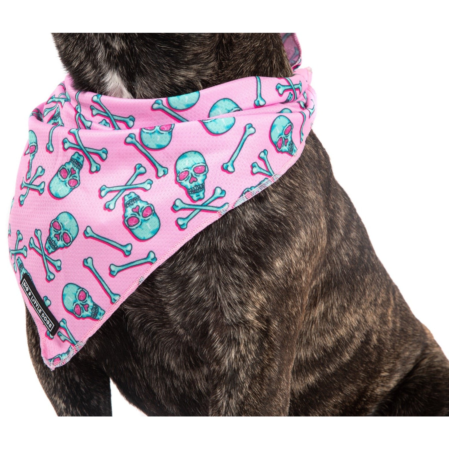 DOG BANDANA: Skull & Bones (Pink Version) {FINAL SALE}