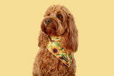 Dog Cooling Bandana Sunny Vibes Sunflowers