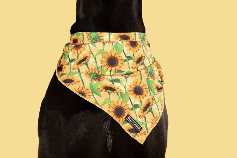 Dog Cooling Bandana Sunny Vibes Sunflowers
