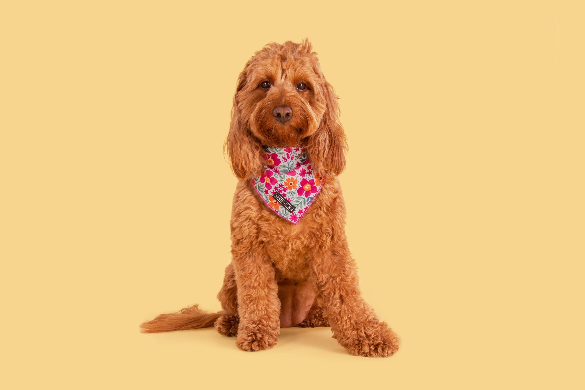 DOG BANDANA: Sweet Blossoms {FINAL SALE}