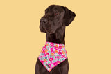 DOG BANDANA: Sweet Blossoms {FINAL SALE}