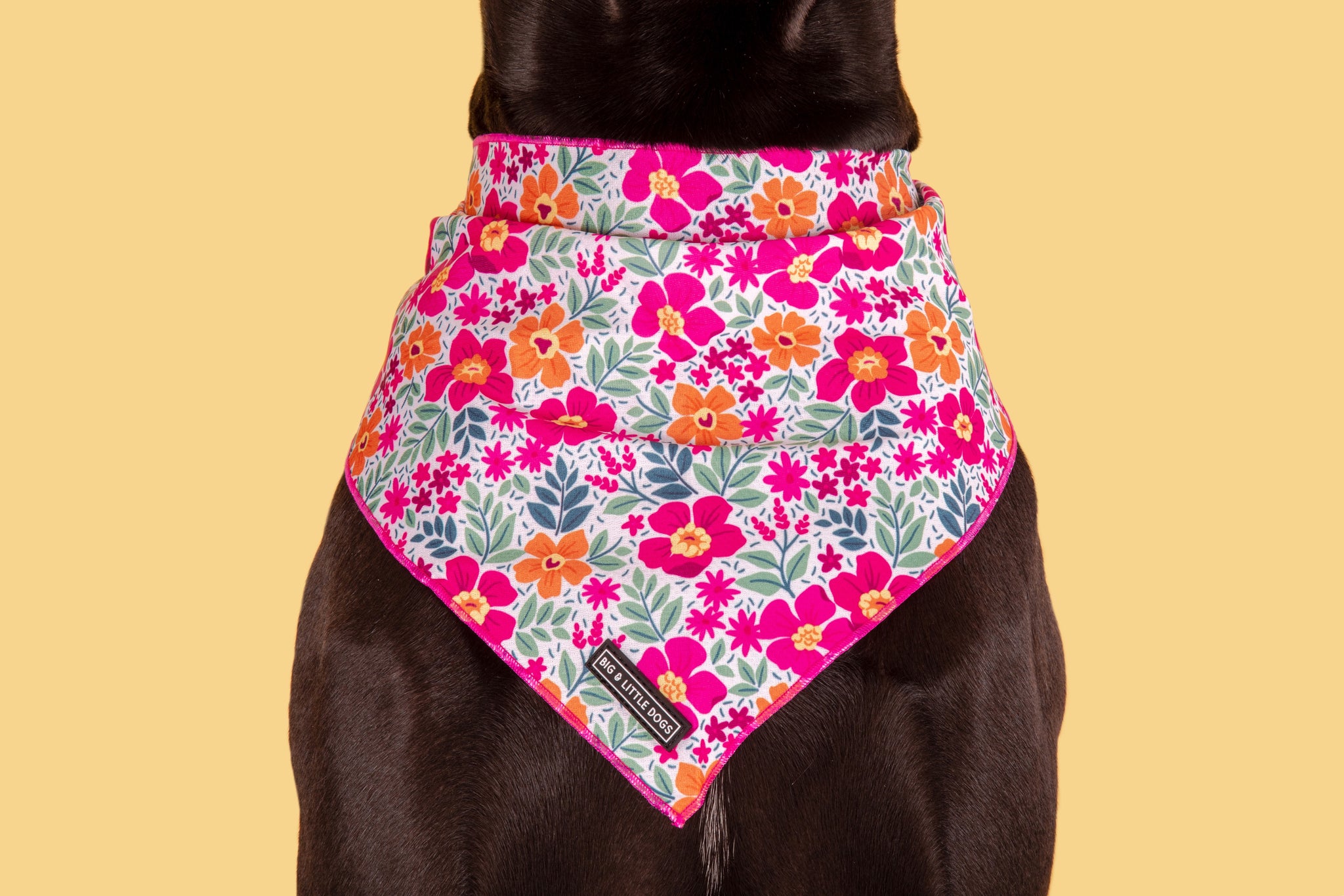 DOG BANDANA: Sweet Blossoms {FINAL SALE}