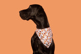 Dog Cooling Bandana Thats S'more Like It