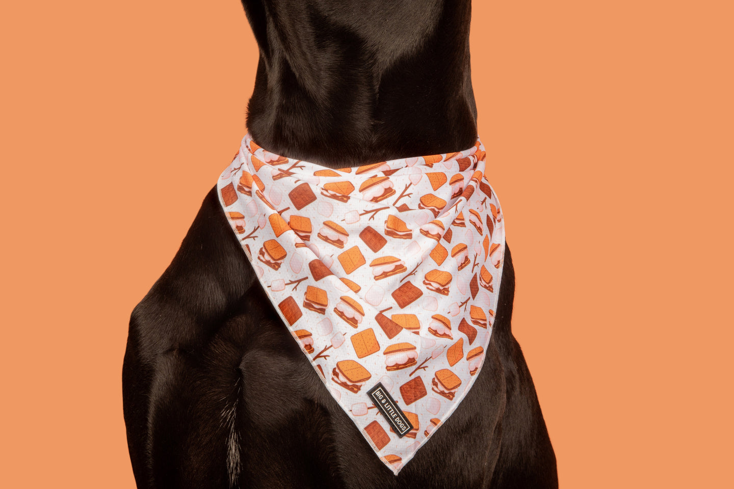 Dog Cooling Bandana Thats S'more Like It