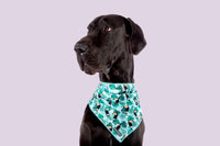 Dog Cooling Bandana Toucan Do It