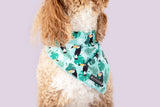 Dog Cooling Bandana Toucan Do It