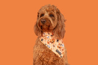 Dog Cooling Bandana Halloween Trick or Treat