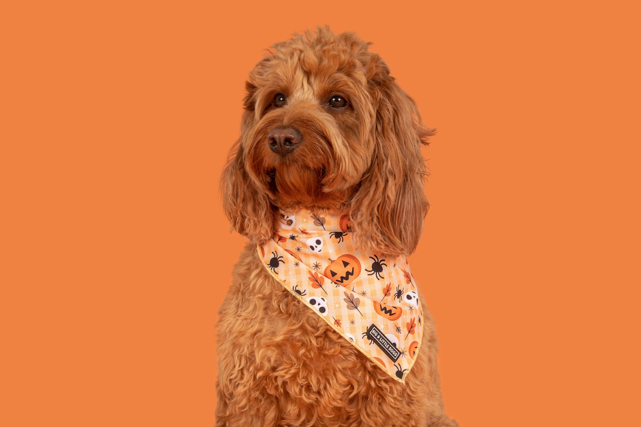 Dog Cooling Bandana Halloween Trick or Treat