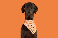 Dog Cooling Bandana Halloween Trick or Treat