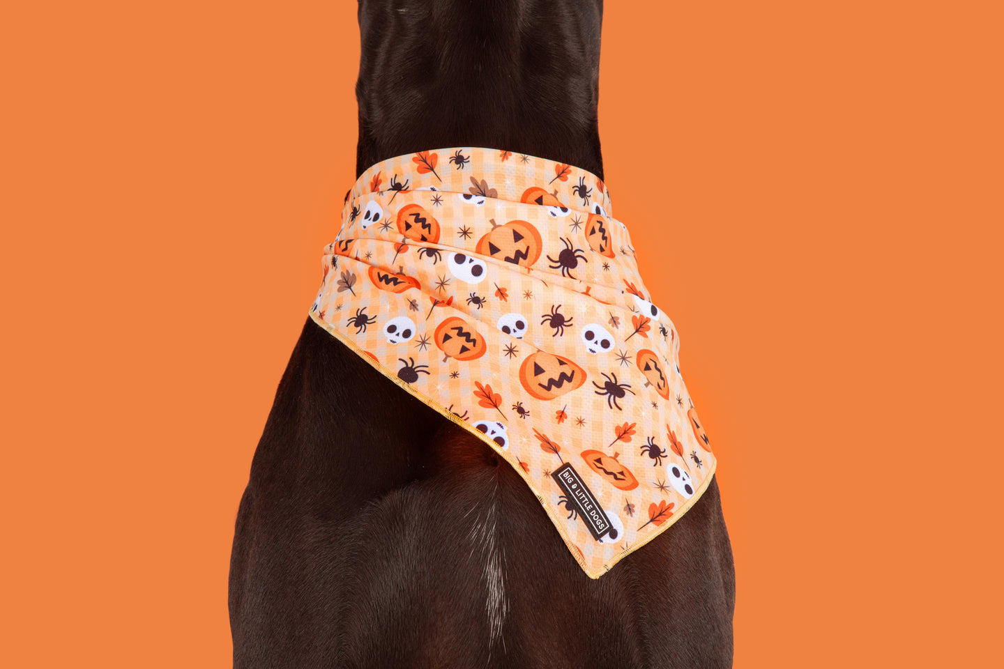 Dog Cooling Bandana Halloween Trick or Treat