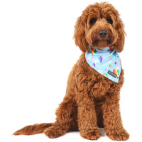 DOG BANDANA: Up, Up and Away {FINAL SALE}