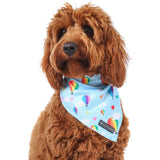 DOG BANDANA: Up, Up and Away {FINAL SALE}