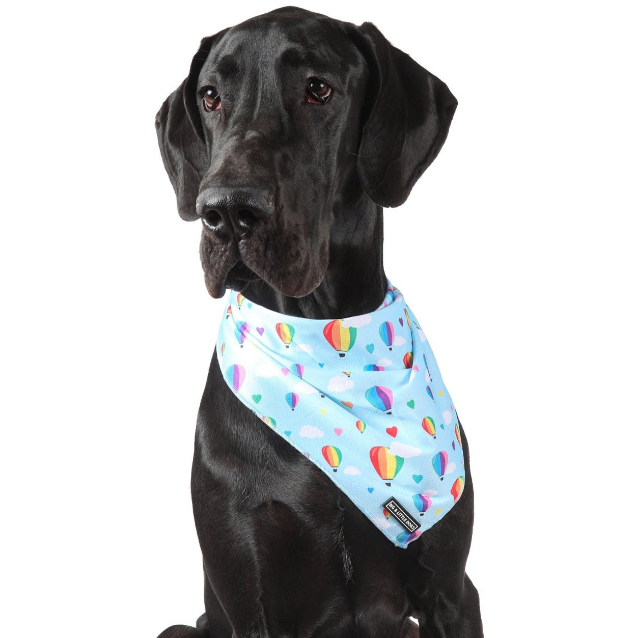 DOG BANDANA: Up, Up and Away {FINAL SALE}