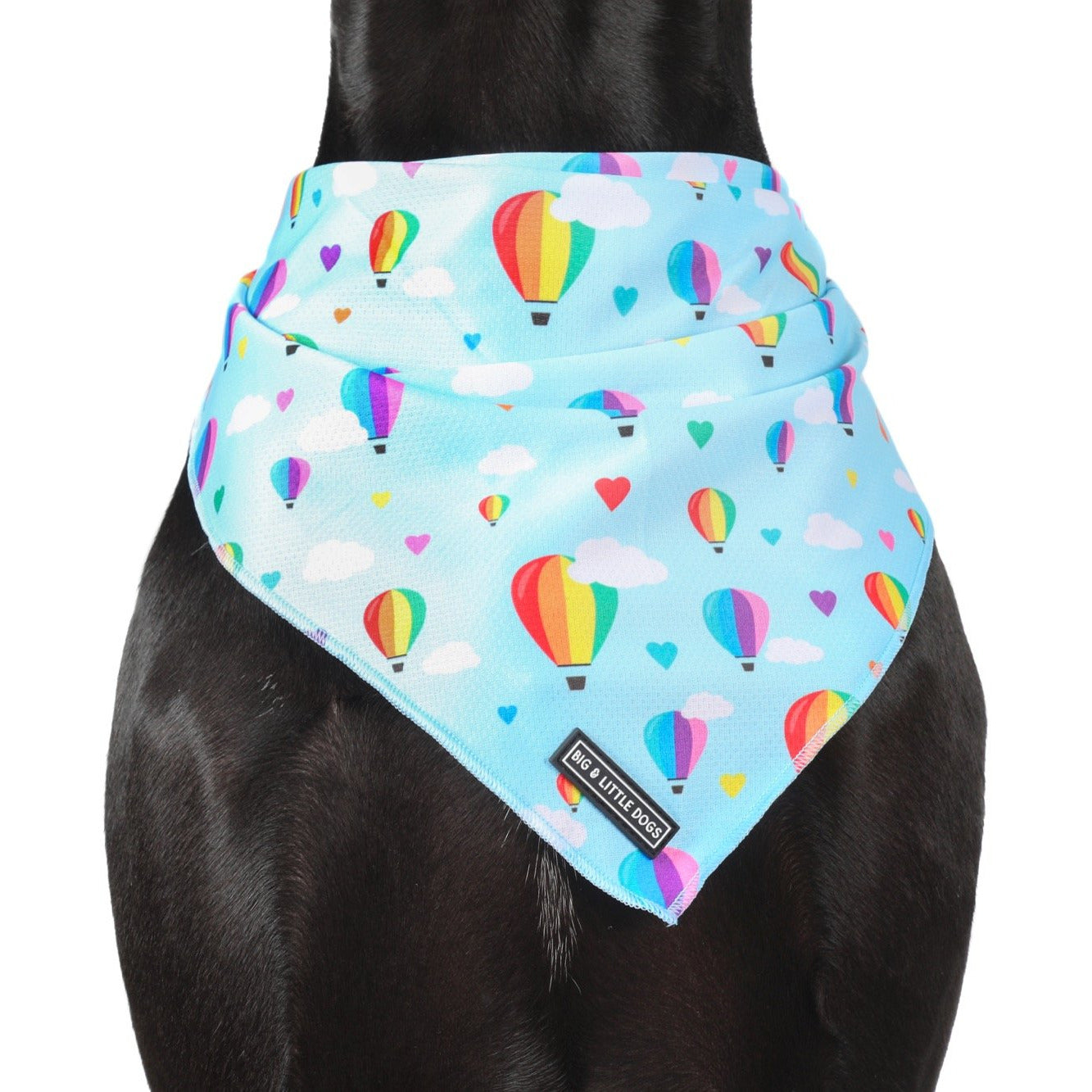 DOG BANDANA: Up, Up and Away {FINAL SALE}
