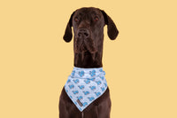 DOG BANDANA: Whale, Hello There {FINAL SALE}