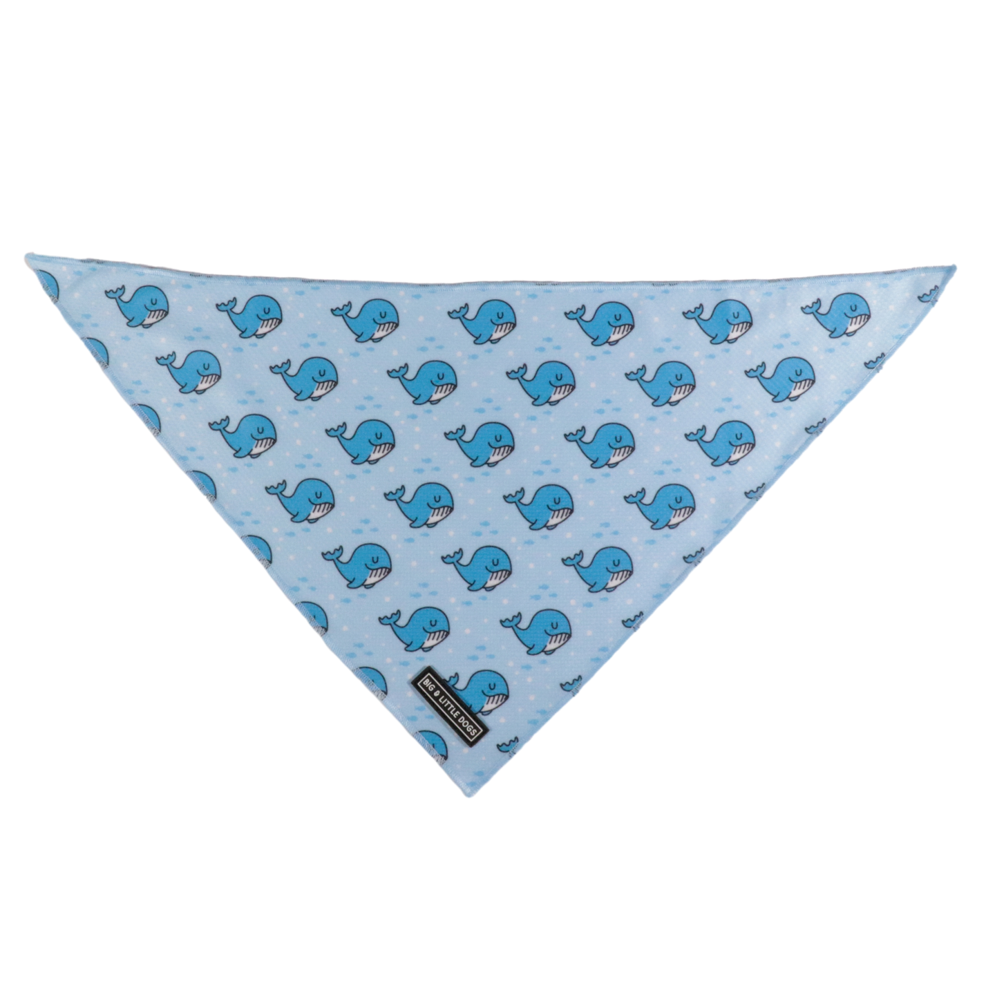 DOG BANDANA: Whale, Hello There {FINAL SALE}