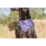 Dog Cooling Bandana Winter Blues