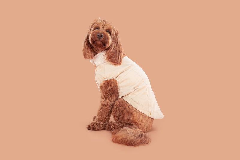 Corduroy Dog Vest in Sand colour