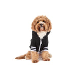 HOODIE DOG JUMPER: Black {FINAL SALE}