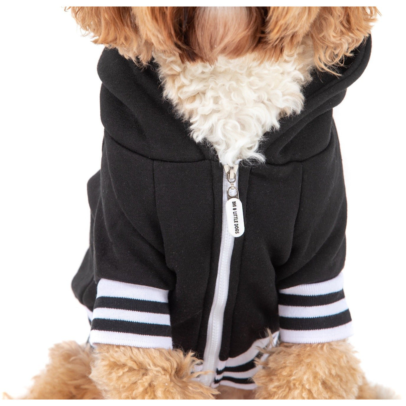 HOODIE DOG JUMPER: Black {FINAL SALE}