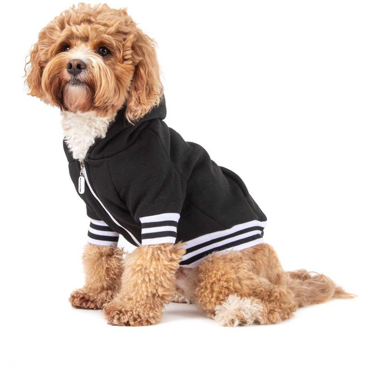 HOODIE DOG JUMPER: Black {FINAL SALE}