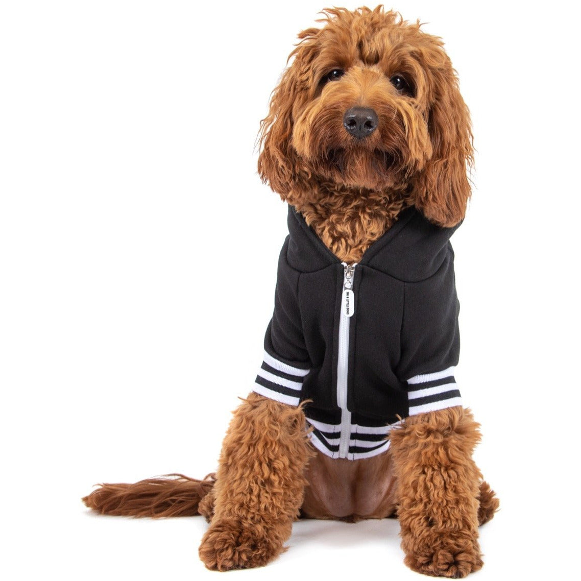 HOODIE DOG JUMPER: Black {FINAL SALE}