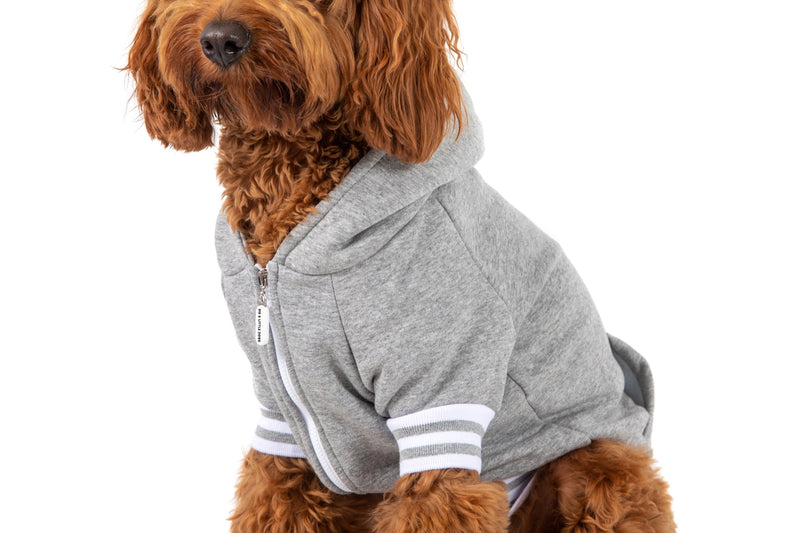 HOODIE DOG JUMPER: Grey Marle with Easter Bunny Embroidery
