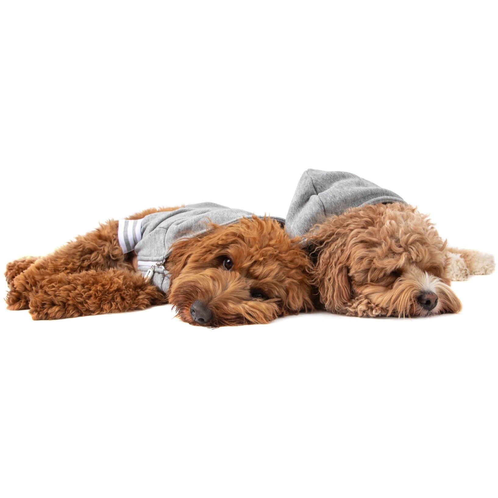 HOODIE DOG JUMPER: Grey Marle {FINAL SALE}