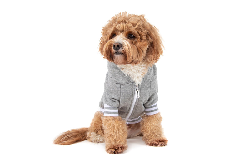 HOODIE DOG JUMPER: Grey Marle with Easter Bunny Embroidery