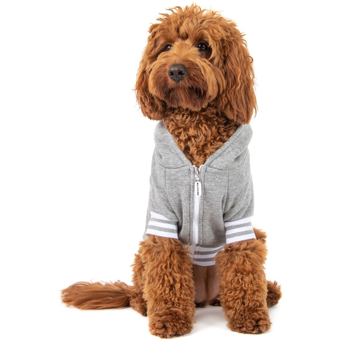 HOODIE DOG JUMPER: Grey Marle {FINAL SALE}