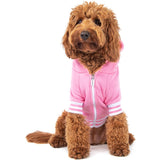 HOODIE DOG JUMPER: Pink {FINAL SALE}