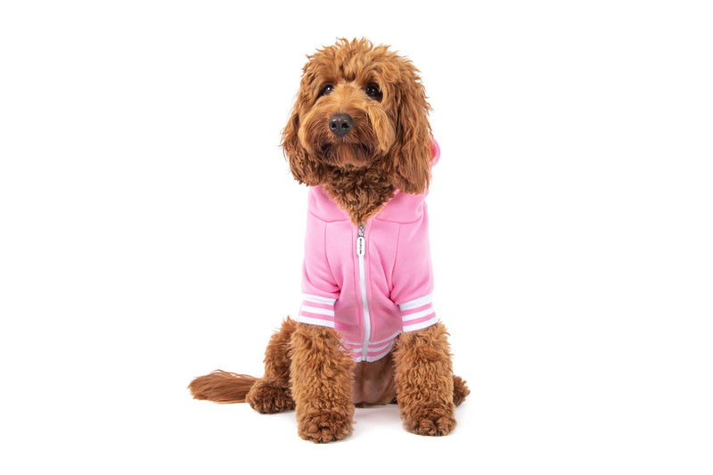 HOODIE DOG JUMPER: Pink with Easter Bunny Embroidery